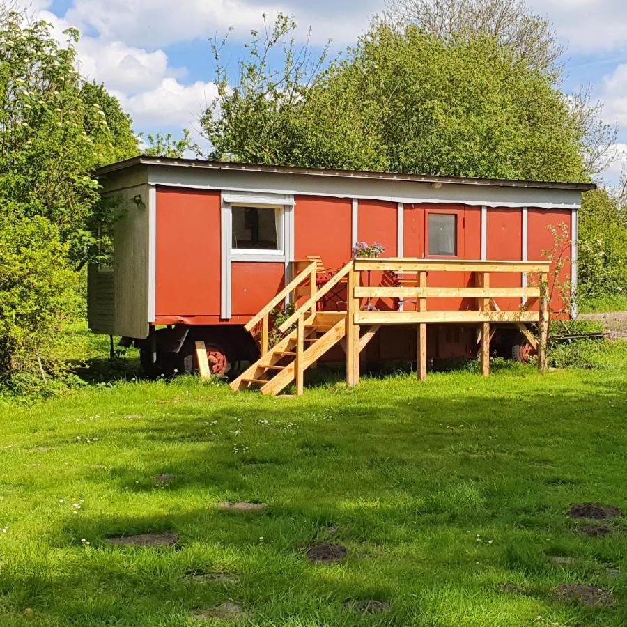 Ferienwohnung Mit Tiny House Freienwill Exterior photo